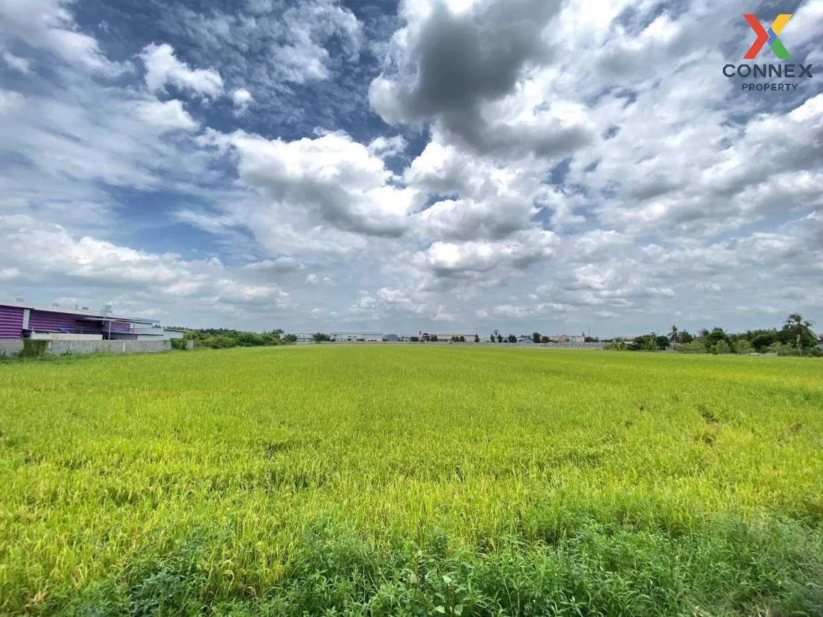 ขายที่ดินทำเลดีในสามโคก, ปทุมธานี ท้ายเกาะ สามโคก ปทุมธานี CX-115 1