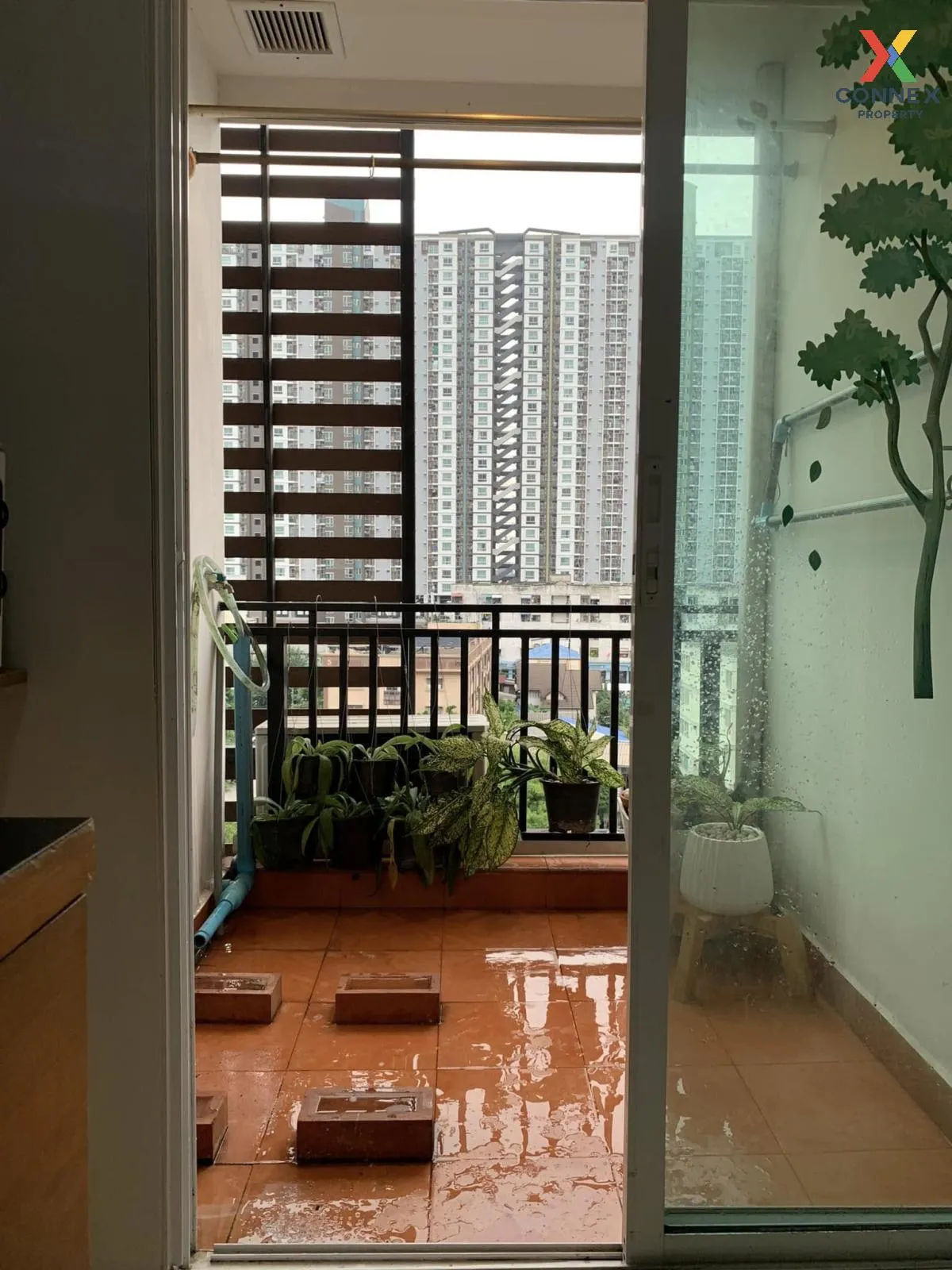 For Sale Condo , Regent Home 20 Prachachuen 16 , MRT-Tao Poon , Bang Sue , Bang Su , Bangkok , CX-118724