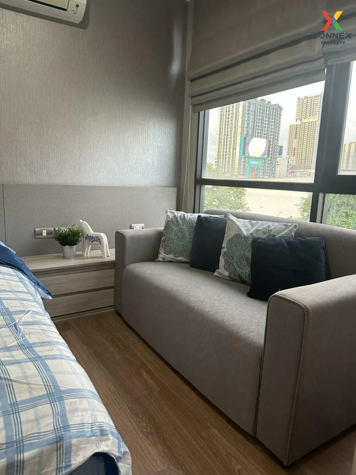 For Rent Condo , Tree Condo Sukhumvit 50 , BTS-On Nut , Phra Khanong , Khlong Toei , Bangkok , CX-118768 1