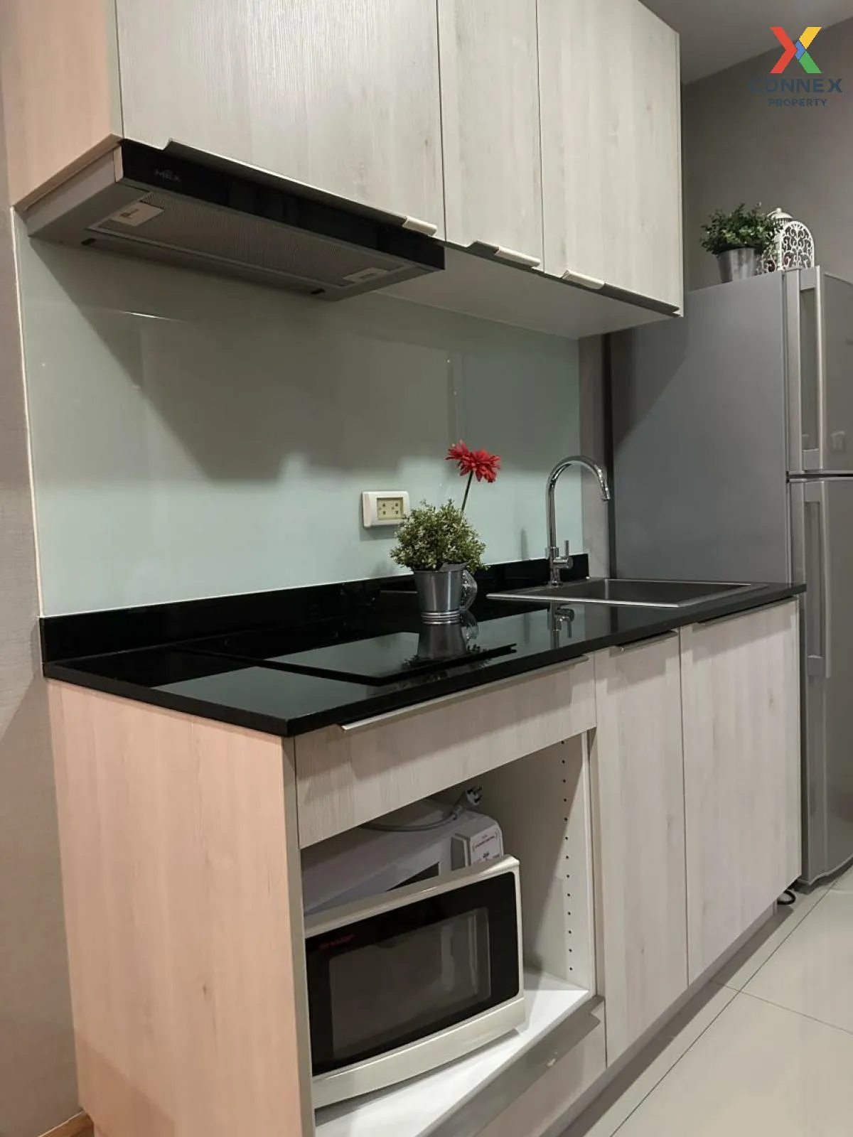 For Rent Condo , Tree Condo Sukhumvit 50 , BTS-On Nut , Phra Khanong , Khlong Toei , Bangkok , CX-118768 3