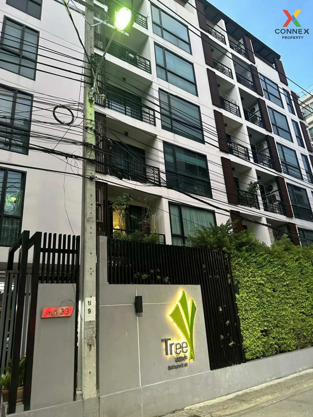 For Rent Condo , Tree Condo Sukhumvit 50 , BTS-On Nut , Phra Khanong , Khlong Toei , Bangkok , CX-118768