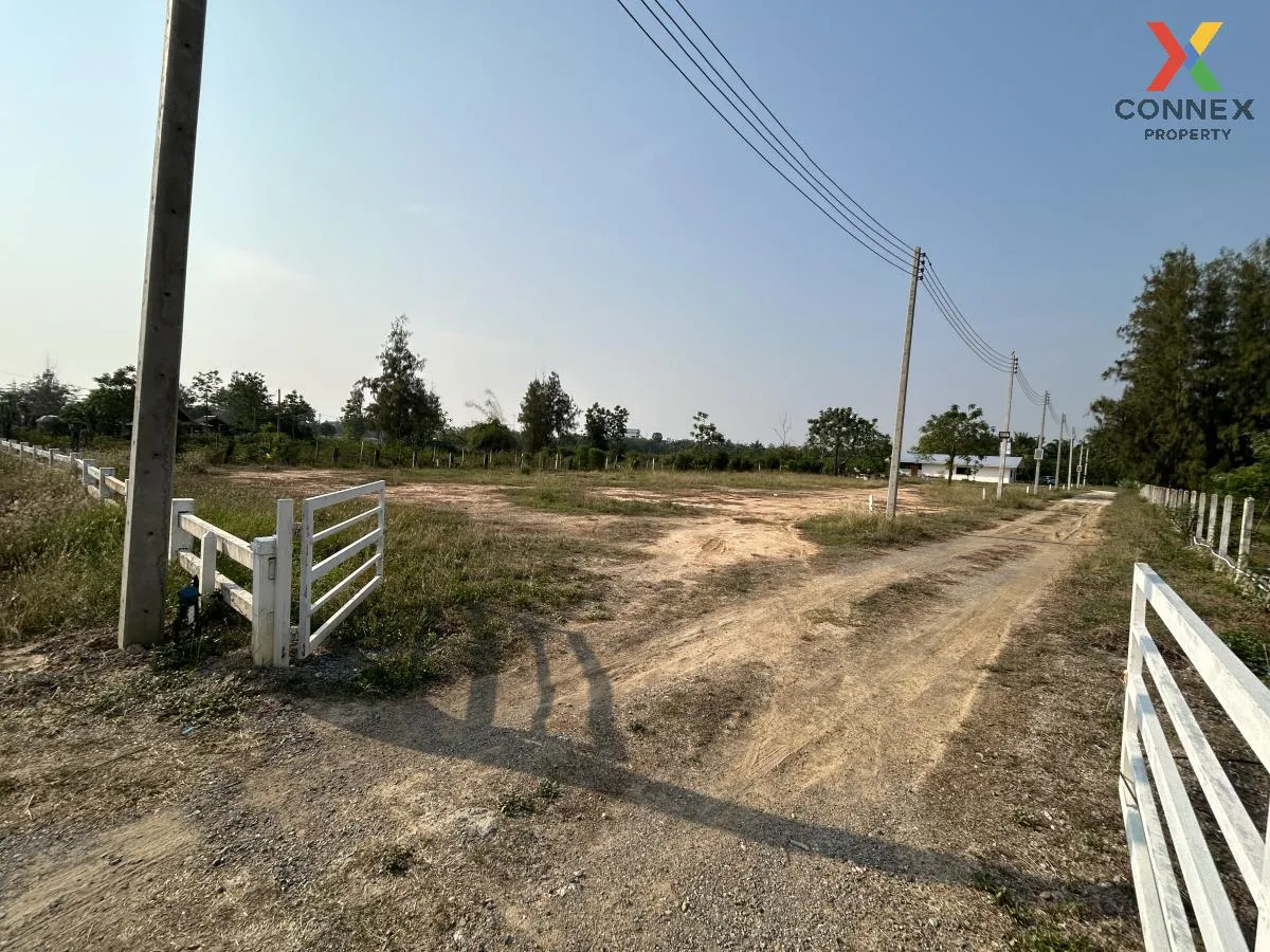 For Sale Land for sale for building a house, Khao Noi , Pran Buri 1