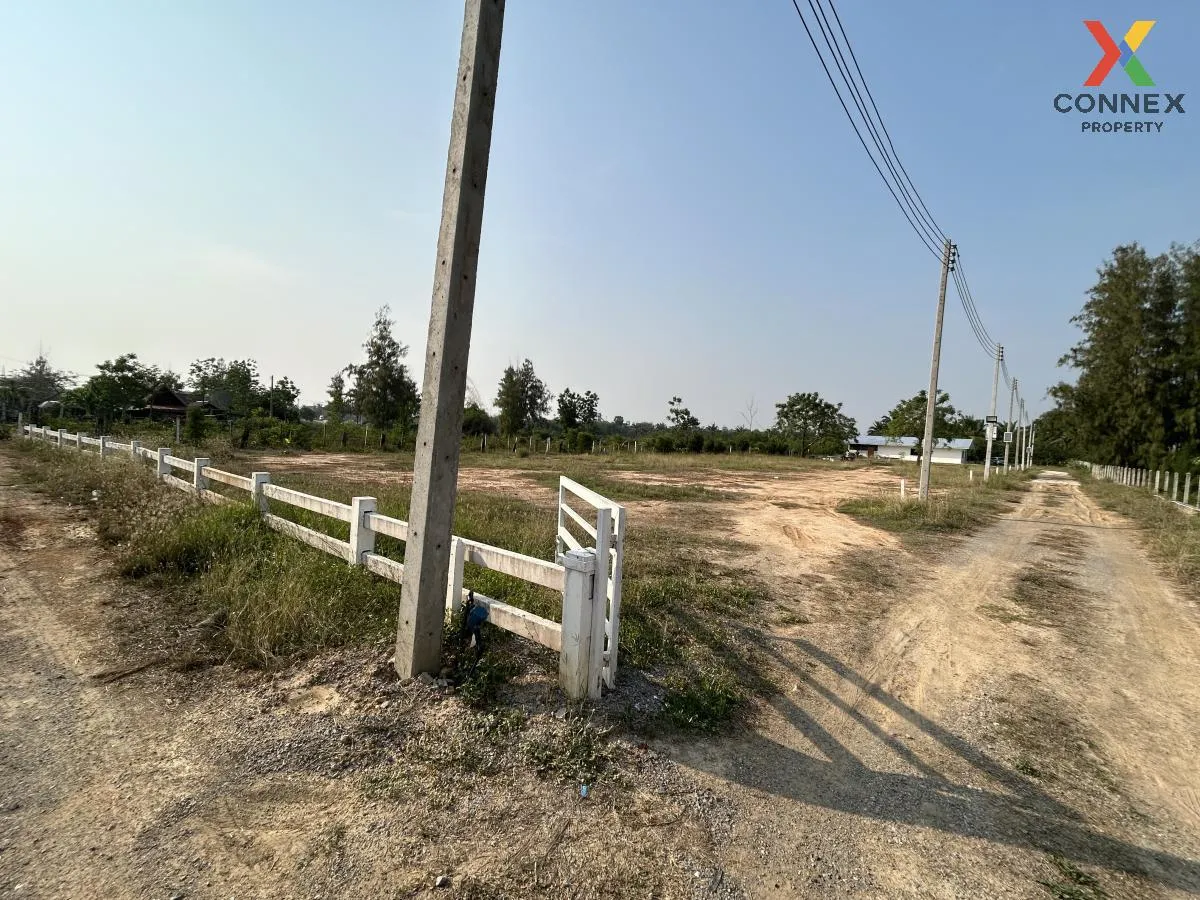 For Sale Land for sale for building a house, Khao Noi , Pran Buri 4