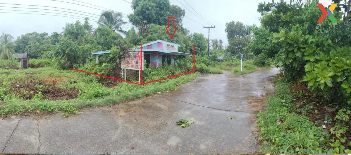 For Sale Single - storey detached house area 22.40 square wah Mua 3