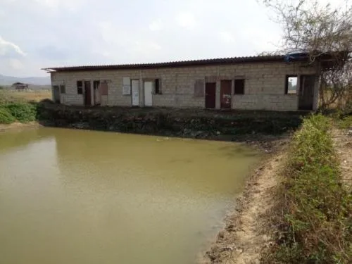 For Sale Warehouse/Factory , Ban San Khayom , Makhuea Chae , Mueang Lamphun , Lamphun , CX-120876