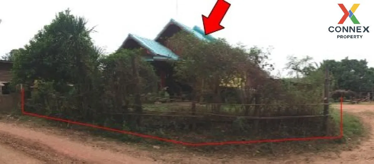 ขายบ้านเดี่ยว ชัยภูมิ 135 ตรม.  ชีบน  บ้านเขว้า  ชัยภูมิ ชีบน บ้า 3
