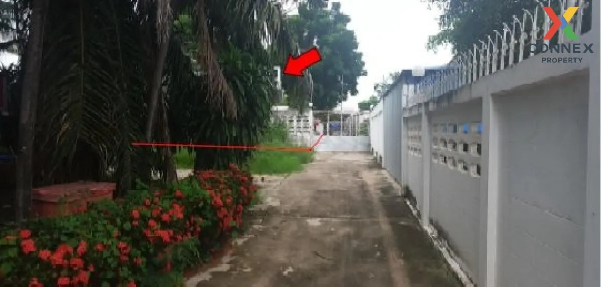 For Sale Single house, Chaiyaphum, 232 sq m., in the city, Mueang 3