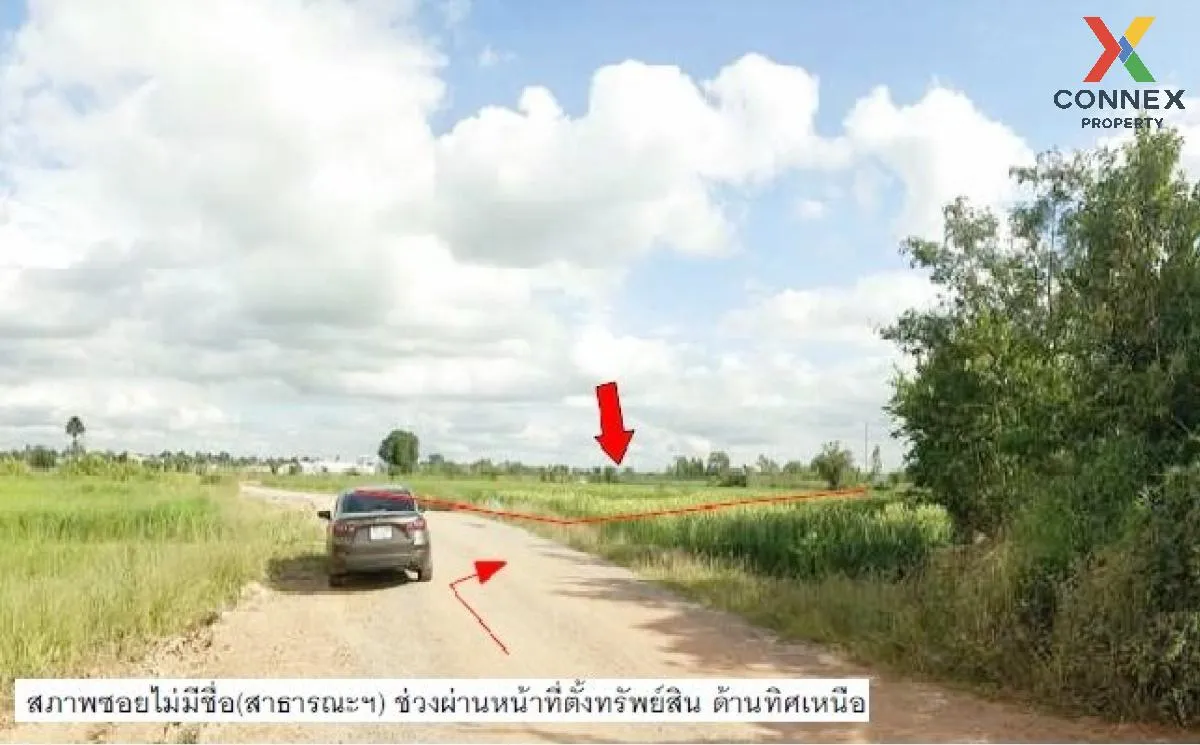 ขายที่ดินว่างเปล่า นครราชสีมา  2910.50 ตรว. ด่านขุนทด  ด่านขุนทด  1