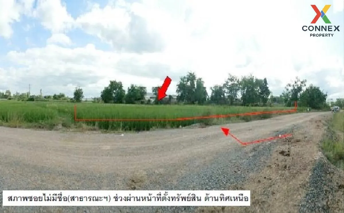 ขายที่ดินว่างเปล่า นครราชสีมา  2910.50 ตรว. ด่านขุนทด  ด่านขุนทด  4