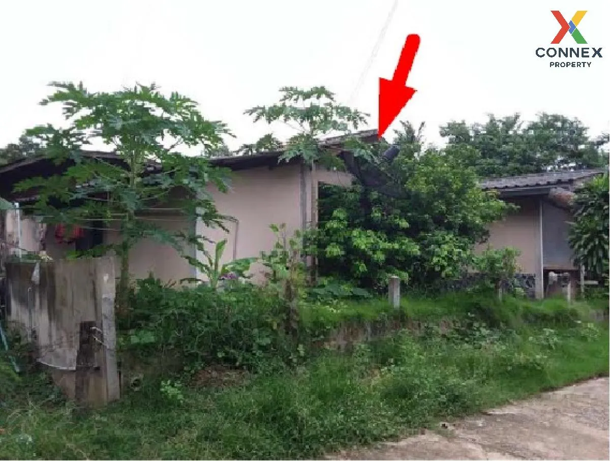 For Sale Single house, Roi Et, 255.00 sq.w., Dok Mai, Suvarnabhum 1