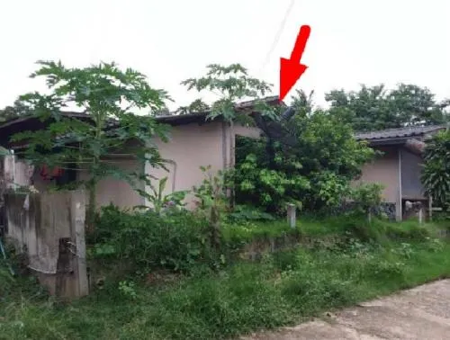 For Sale Single house, Roi Et, 255.00 sq.w., Dok Mai, Suvarnabhumi, Roi Et , Dok Mai , Suwannaphum , Roi Et , CX-120983