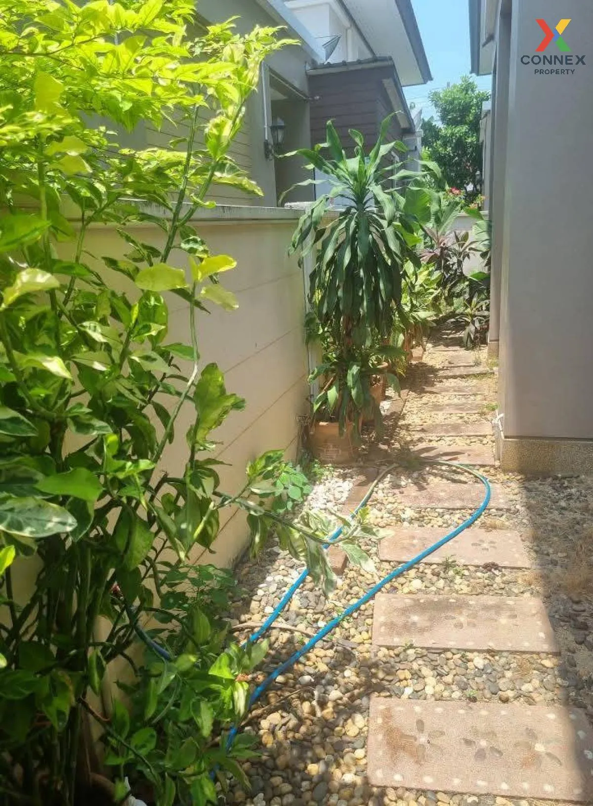 For Sale House , Sertsiri , wide frontage , Khok Krabue , Mueang  2