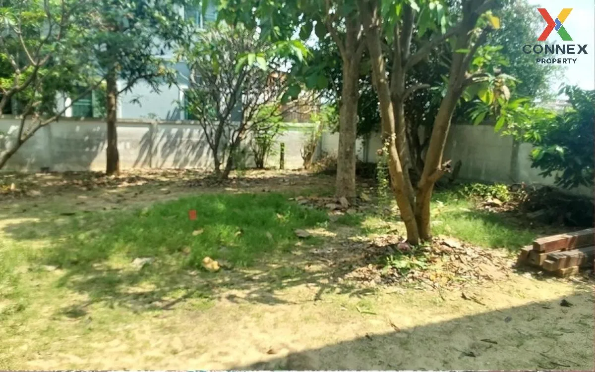 ขายบ้าน  บ้านจิตลดาแลนด์ ไทรน้อย ไทรน้อย นนทบุรี CX-121314 3