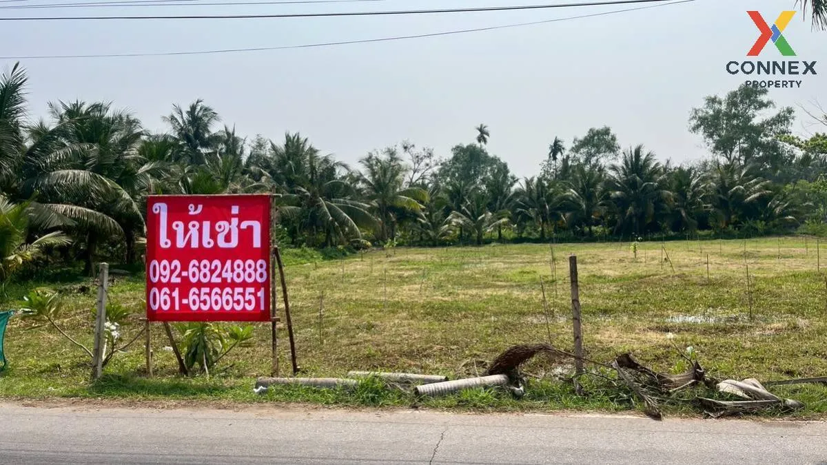 เช่าที่ดินเปล่า เนื้อที่6ไร่3งาน  สวนหลวง อัมพวา สมุทรสงคราม สวนห 4