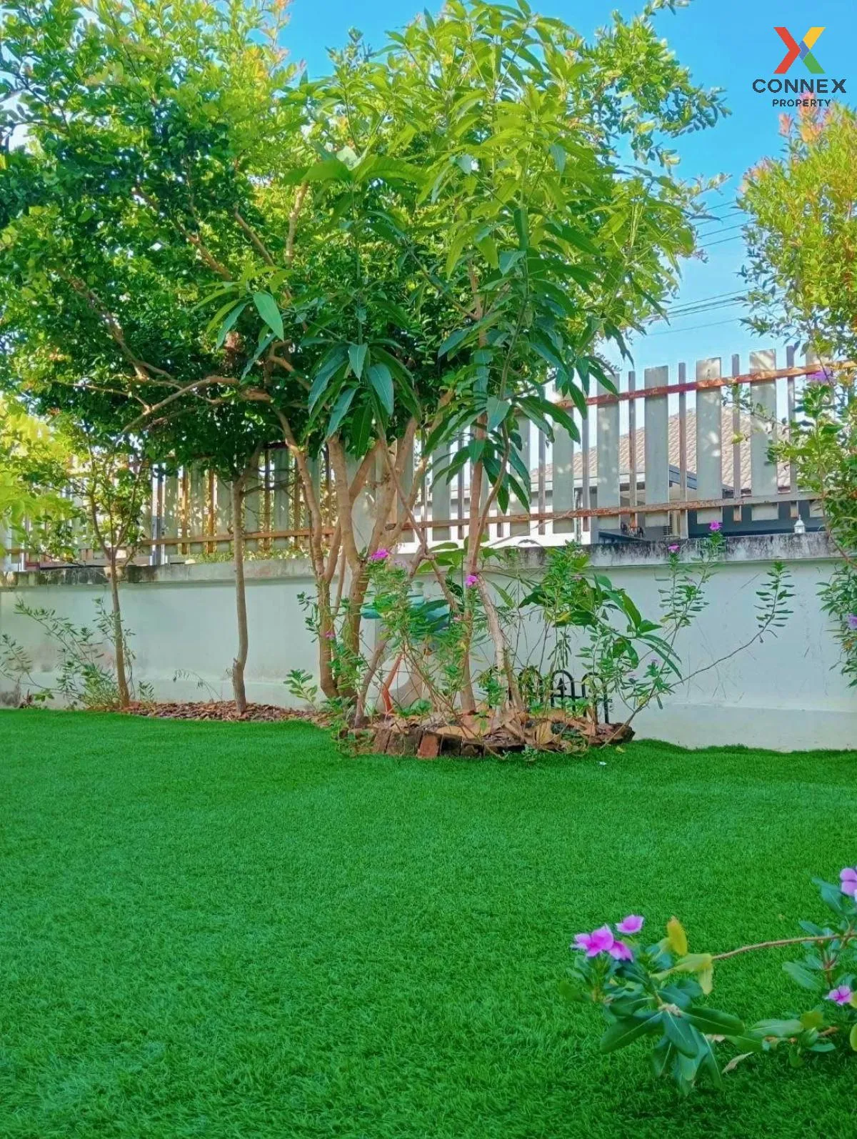 ขายบ้าน  บ้านธรรมชาติ รังสิต - คลอง 8 ลำผักกูด ธัญบุรี ปทุมธานี C
