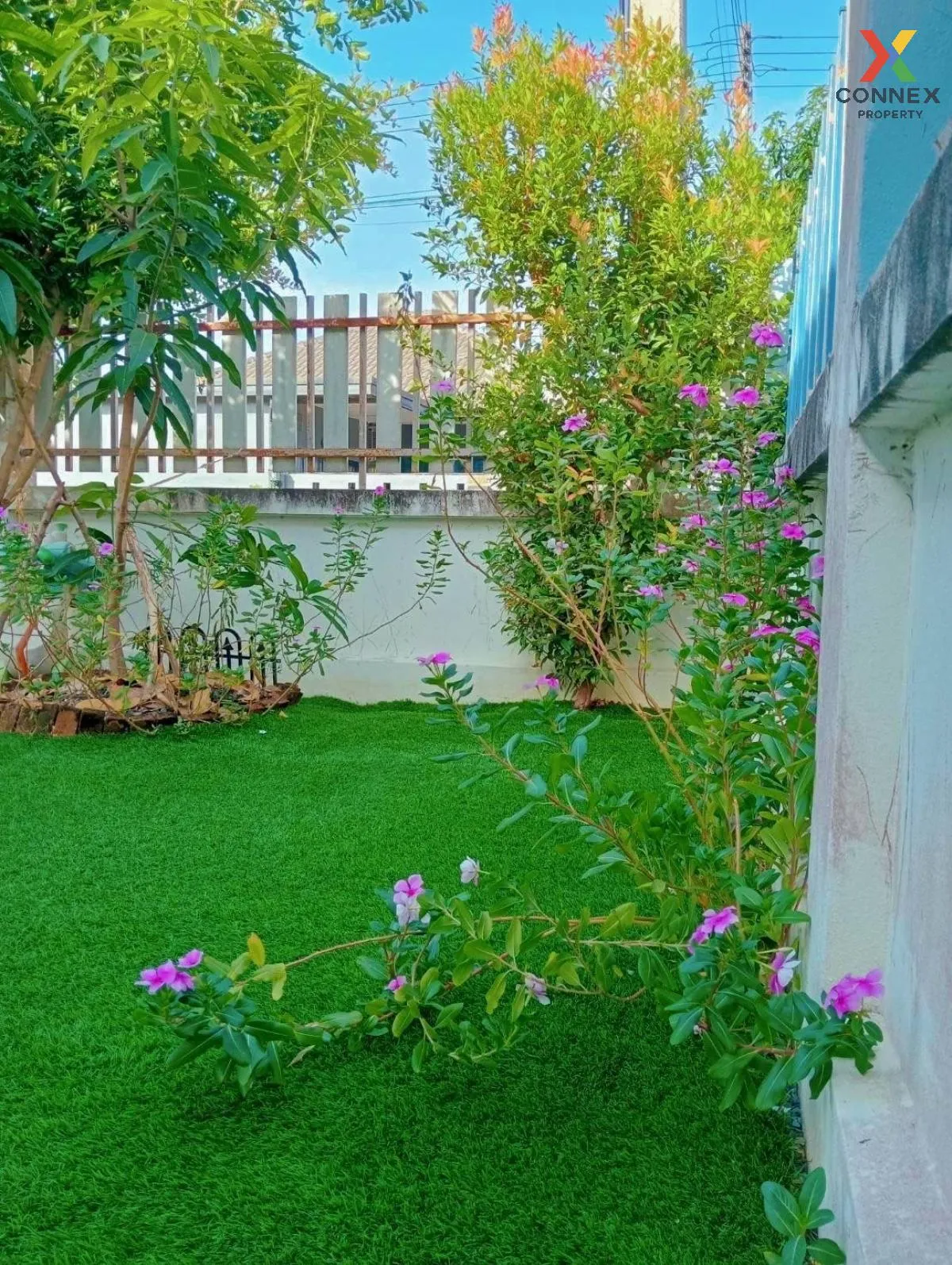 ขายบ้าน  บ้านธรรมชาติ รังสิต - คลอง 8 ลำผักกูด ธัญบุรี ปทุมธานี C