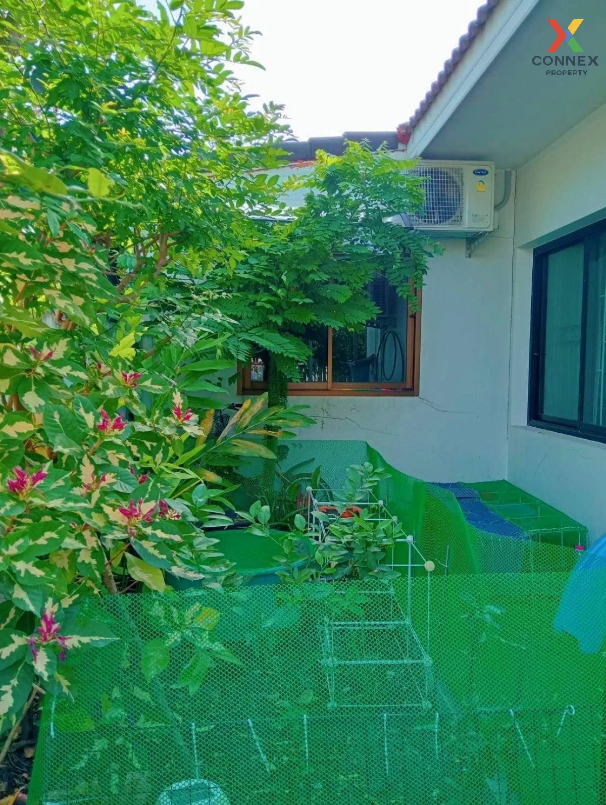 ขายบ้าน  บ้านธรรมชาติ รังสิต - คลอง 8 ลำผักกูด ธัญบุรี ปทุมธานี C