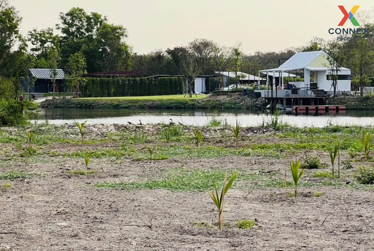 For Sale land 419 square wah next to Safari World Bangkok , Sam W 2