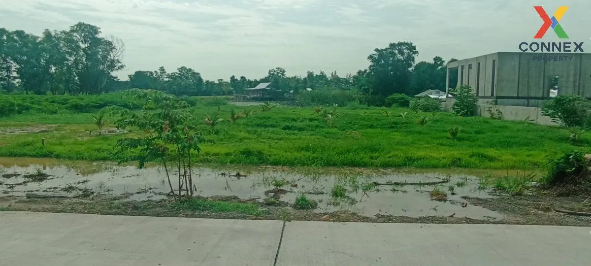 For Sale land 419 square wah next to Safari World Bangkok , Sam W 3