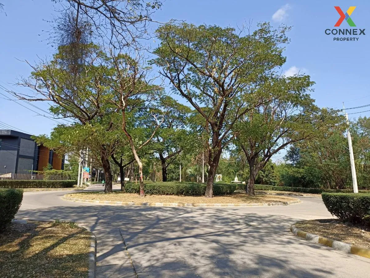 For Sale land 419 square wah next to Safari World Bangkok , Sam W