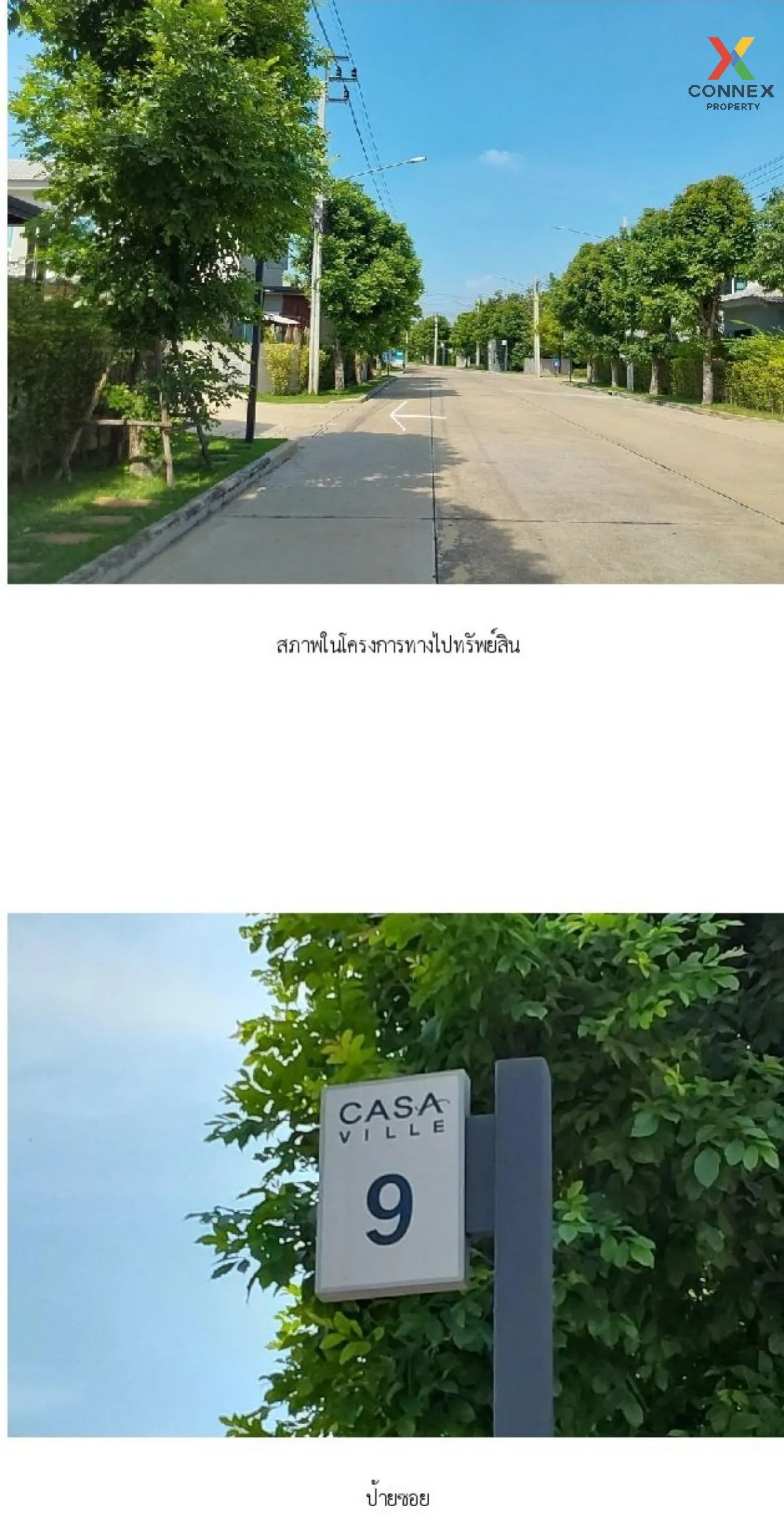 For Sale House , Casa Ville Pinklao - Srirat , Sala Klang , Bang  4