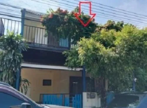 For Sale House , The Trust Rangsit Klong 4 , Lat Sawai , Lam Luk Ka , Pathum Thani , CX-123256