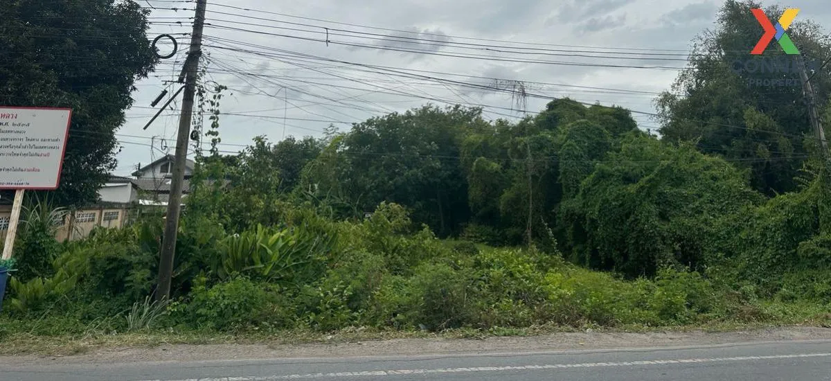 For Sale Vacant land 221 sq.w., Suan Prik Thai Subdistrict, Muean 1