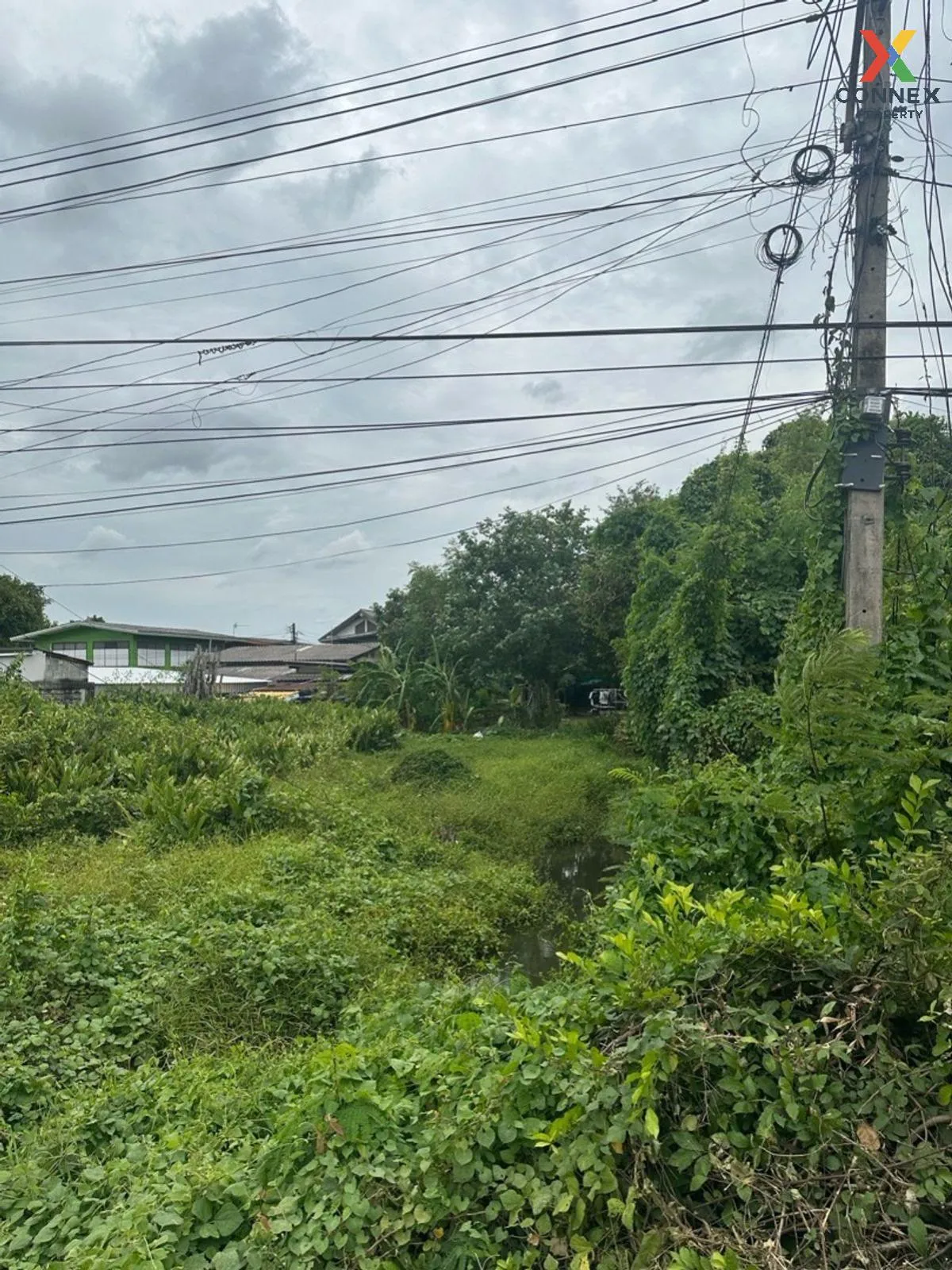 For Sale Vacant land 221 sq.w., Suan Prik Thai Subdistrict, Muean 2