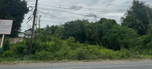 For Sale Vacant land 221 sq.w., Suan Prik Thai Subdistrict, Mueang District, Pathum Thani Province , Suan Phrik Thai , Mueang Pathum Thani , Pathum Thani , CX-125762