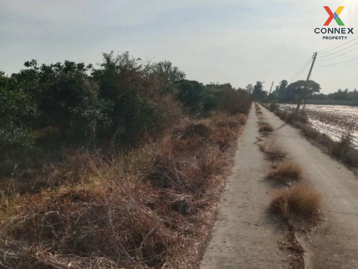 For Sale Vacant land, Samko District, Ang Thong Province, 5 rai 1 1