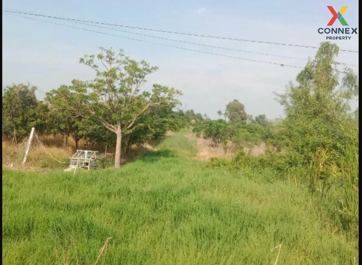 For Sale Vacant land, Samko District, Ang Thong Province, 5 rai 1 2