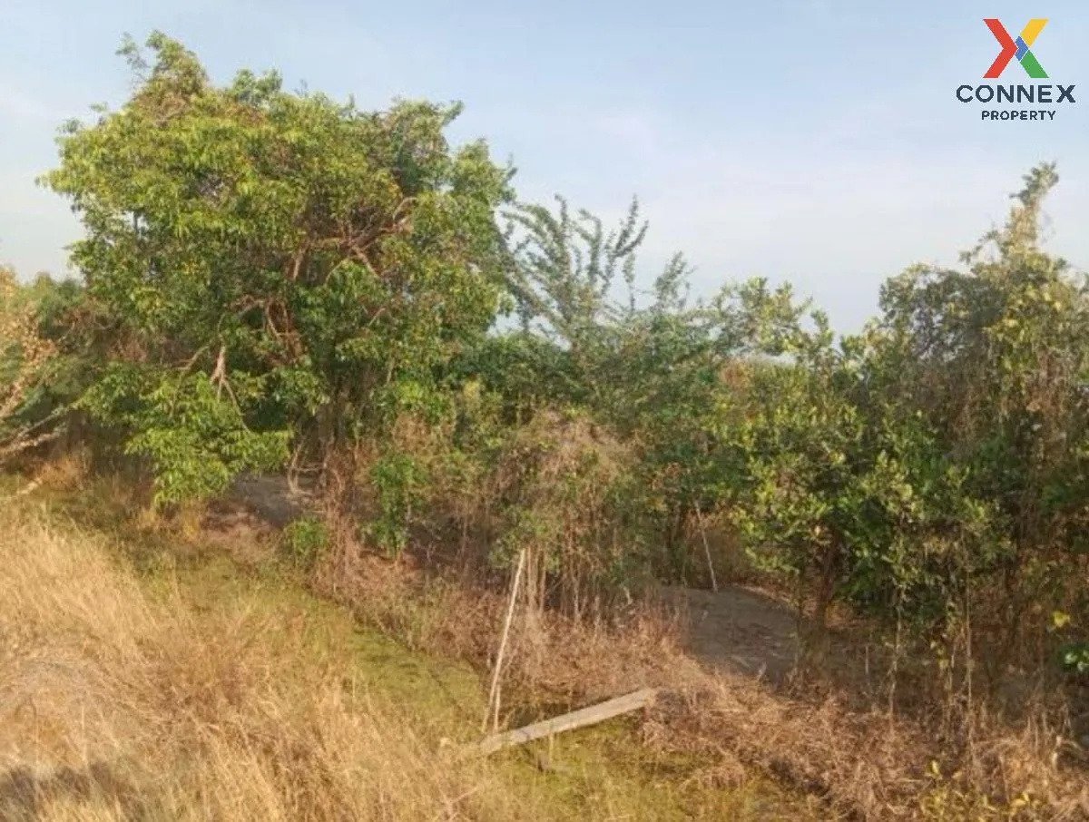 For Sale Vacant land, Samko District, Ang Thong Province, 5 rai 1 3