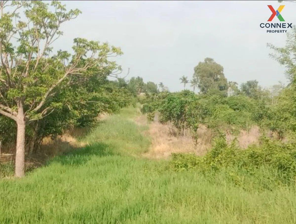 For Sale Vacant land, Samko District, Ang Thong Province, 5 rai 1 4