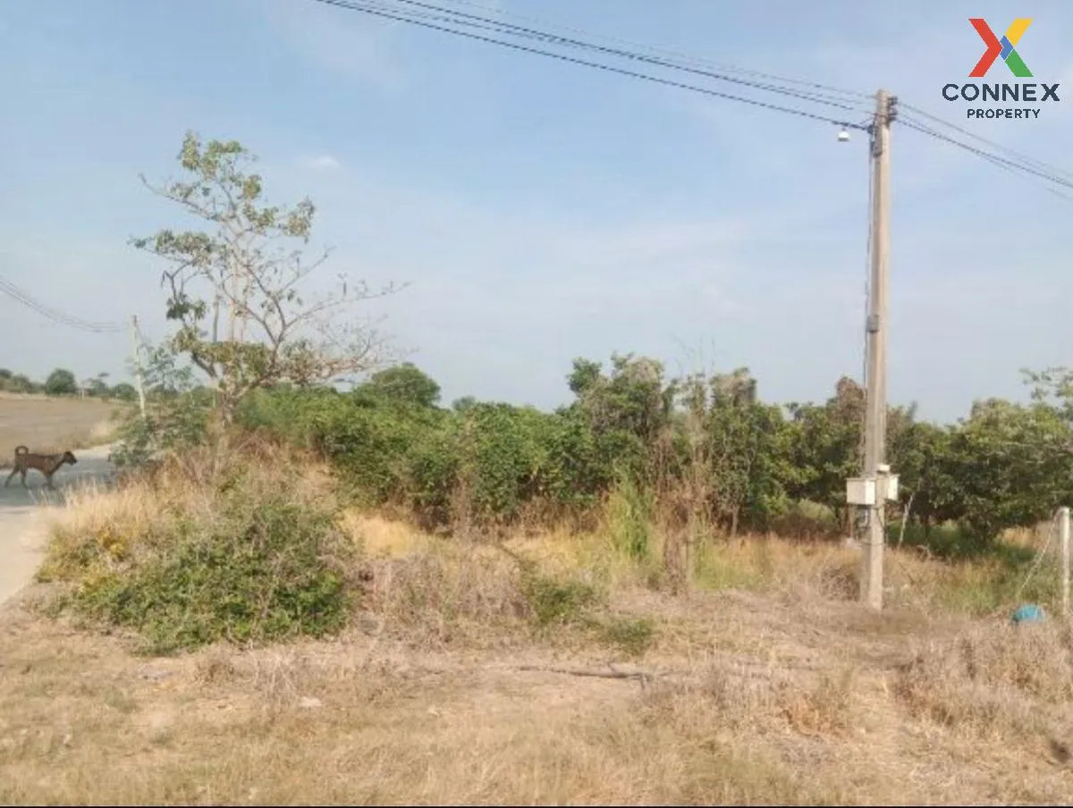 For Sale Vacant land, Samko District, Ang Thong Province, 5 rai 1