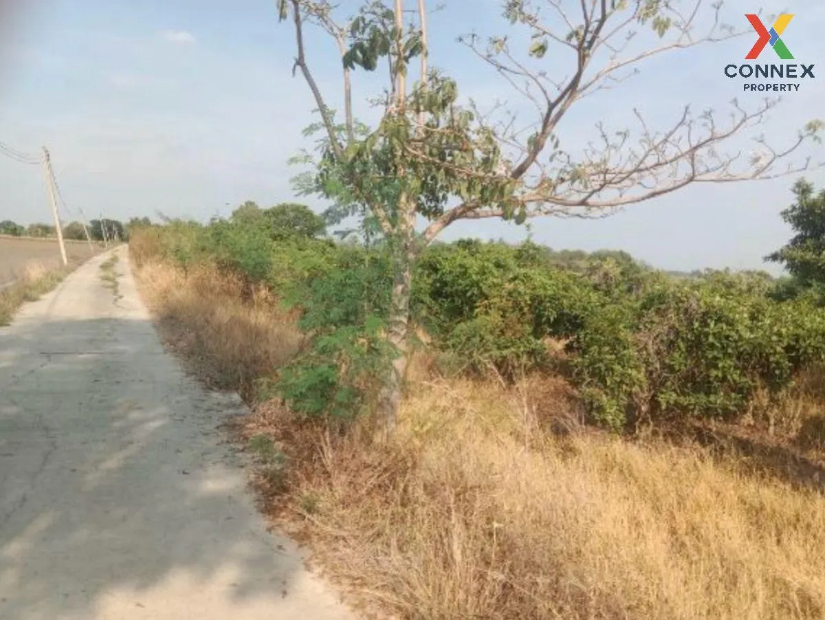 For Sale Vacant land, Samko District, Ang Thong Province, 5 rai 1
