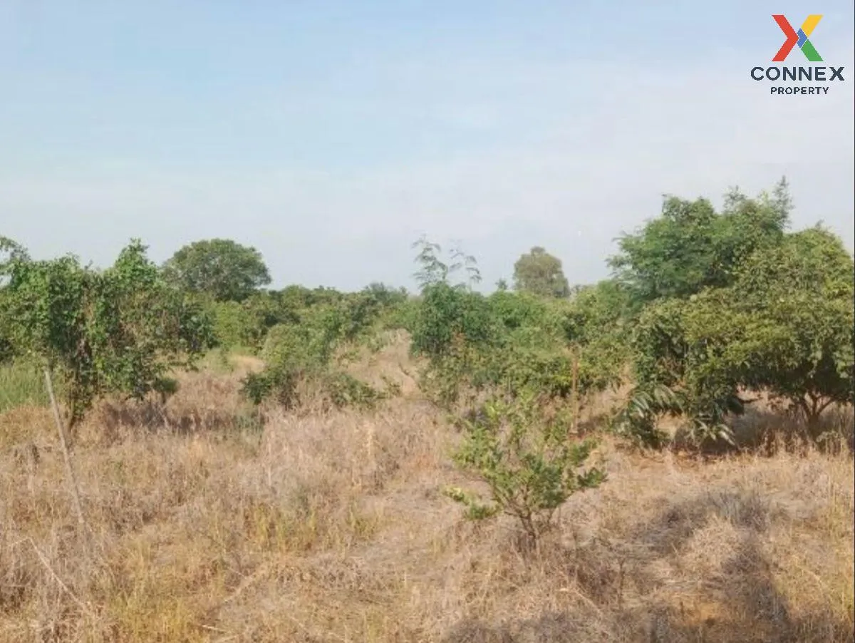 For Sale Vacant land, Samko District, Ang Thong Province, 5 rai 1
