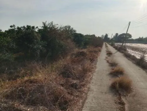 For Sale Vacant land, Samko District, Ang Thong Province, 5 rai 1 ngan , Sam Ko , Samko , Ang Thong , CX-126067
