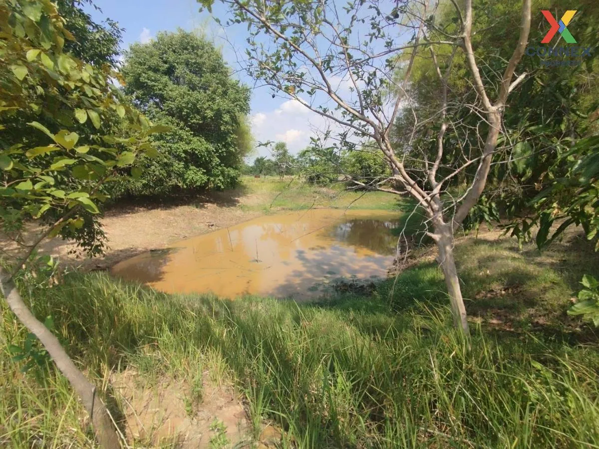 ขายที่นาเมืองพล​ ห่างถนนใหญ่​เพียงนิดเดียว​ เก่างิ้ว พล ขอนแก่น C 2