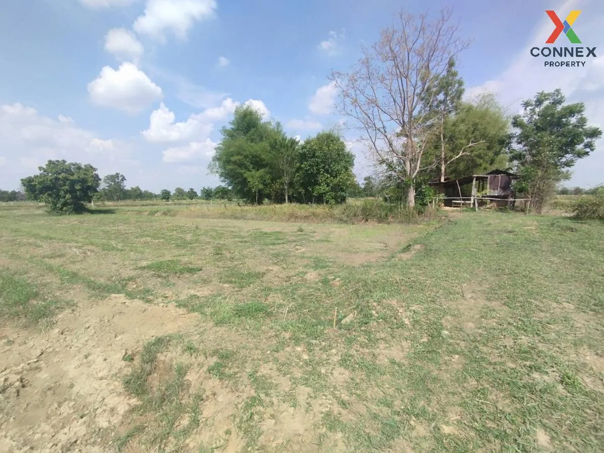 ขายที่นาเมืองพล​ ห่างถนนใหญ่​เพียงนิดเดียว​ เก่างิ้ว พล ขอนแก่น C 3