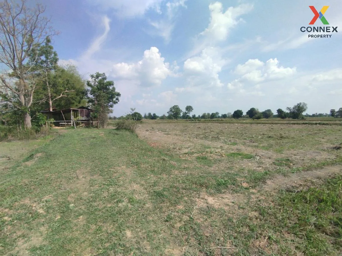 ขายที่นาเมืองพล​ ห่างถนนใหญ่​เพียงนิดเดียว​ เก่างิ้ว พล ขอนแก่น C 4