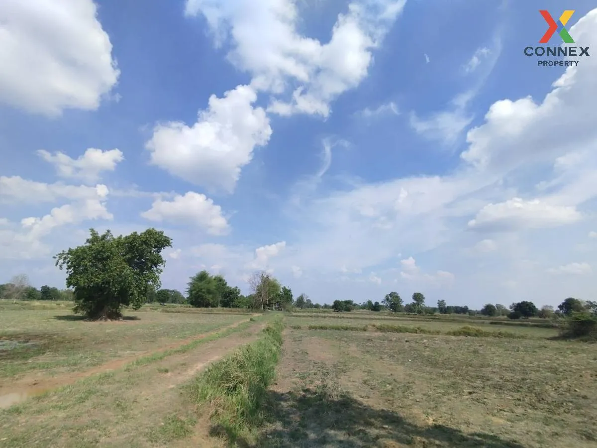 ขายที่นาเมืองพล​ ห่างถนนใหญ่​เพียงนิดเดียว​ เก่างิ้ว พล ขอนแก่น C