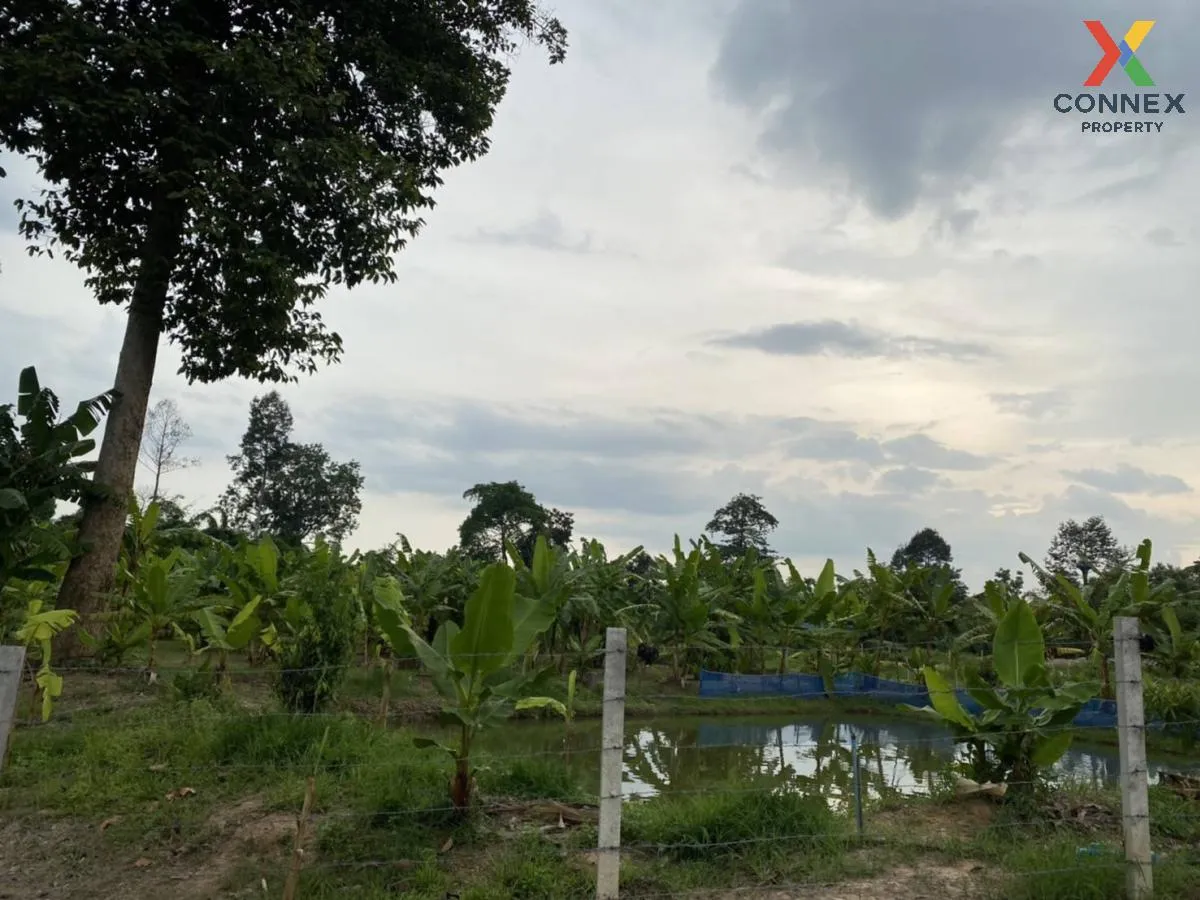 For Sale Land and building for sale , Khao Phoem , Ban Na , Nakho 3