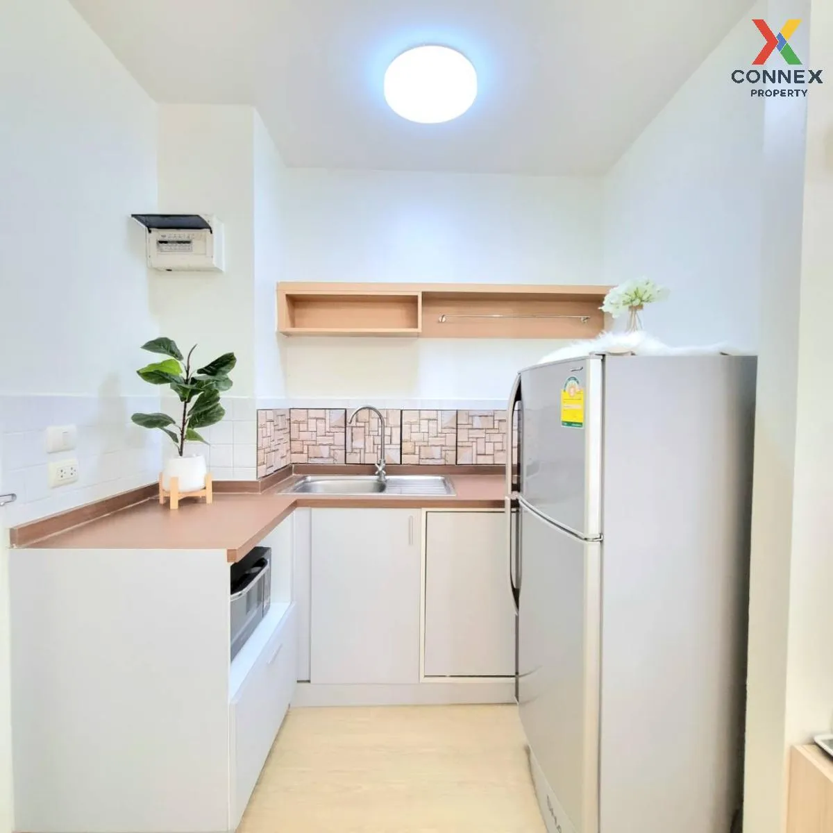 For Rent Condo , My Condo Sukhumvit 52 , BTS-On Nut , Bang Chak ,