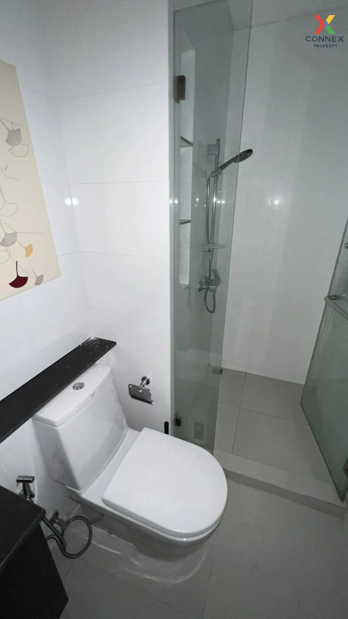 For Rent Condo , The Coast Bangkok , BTS-Bang Na , Bang Na , Bang 4