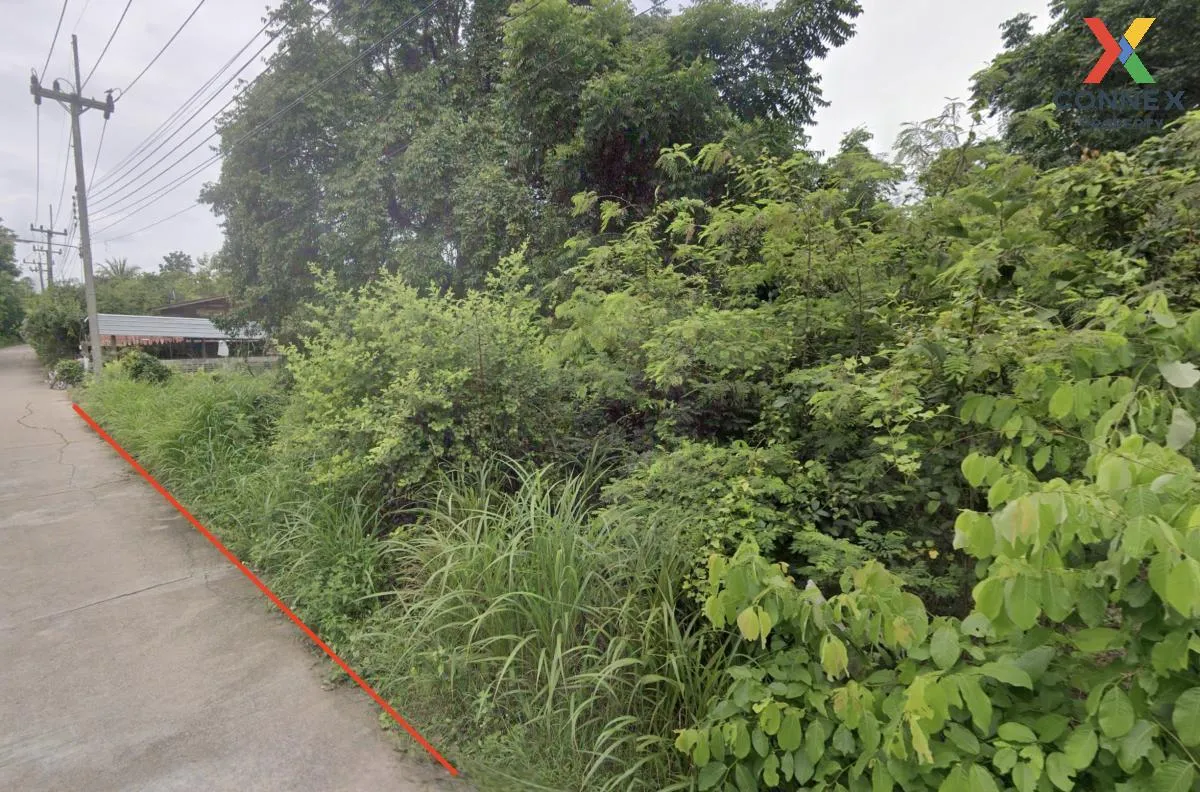For Sale land area 2-3-40 square wah Thawi Chai Takhli Nakhon Saw 2