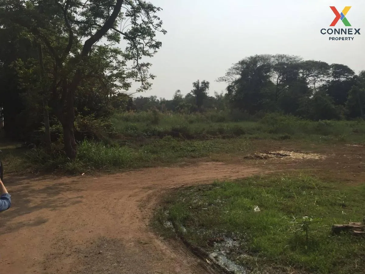 For Sale Riverside Land on the Noi River, Phra Nakhon Si Ayutthay 3
