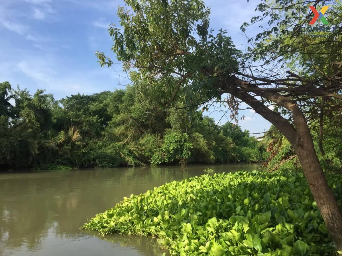 For Sale Riverside Land on the Noi River, Phra Nakhon Si Ayutthay 4