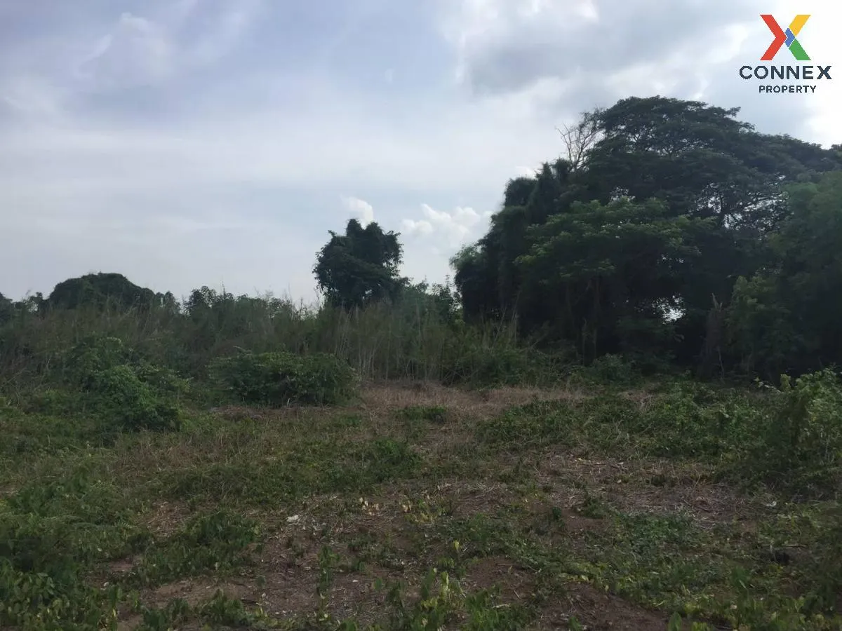 For Sale Riverside Land on the Noi River, Phra Nakhon Si Ayutthay