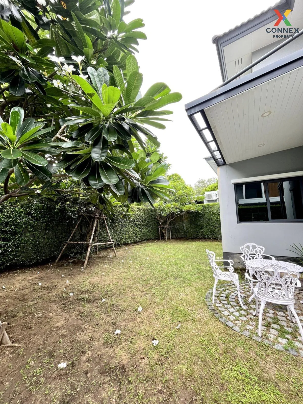 For Rent House , CENTRO Ratchapruek 2 , Bang Krang , Mueang Nonth