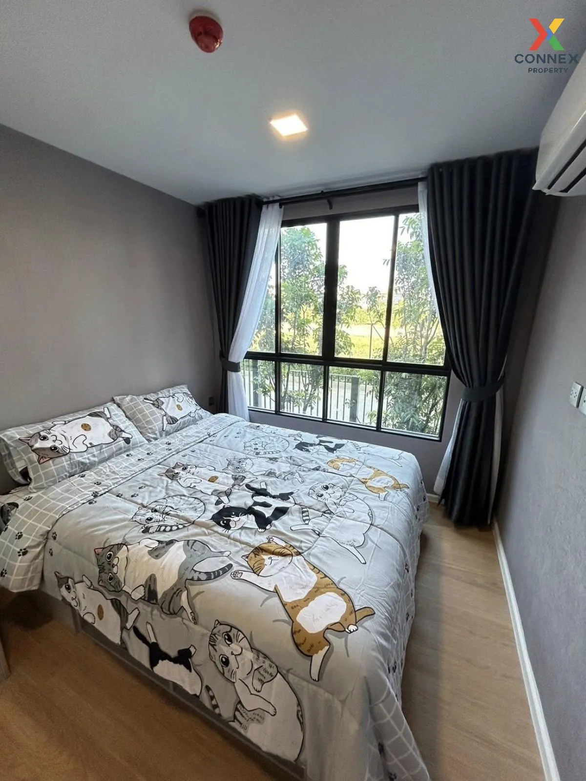 For Rent Condo , Atmoz Kanaal Rangsit , Pracha Thipat , Thanyabur 4